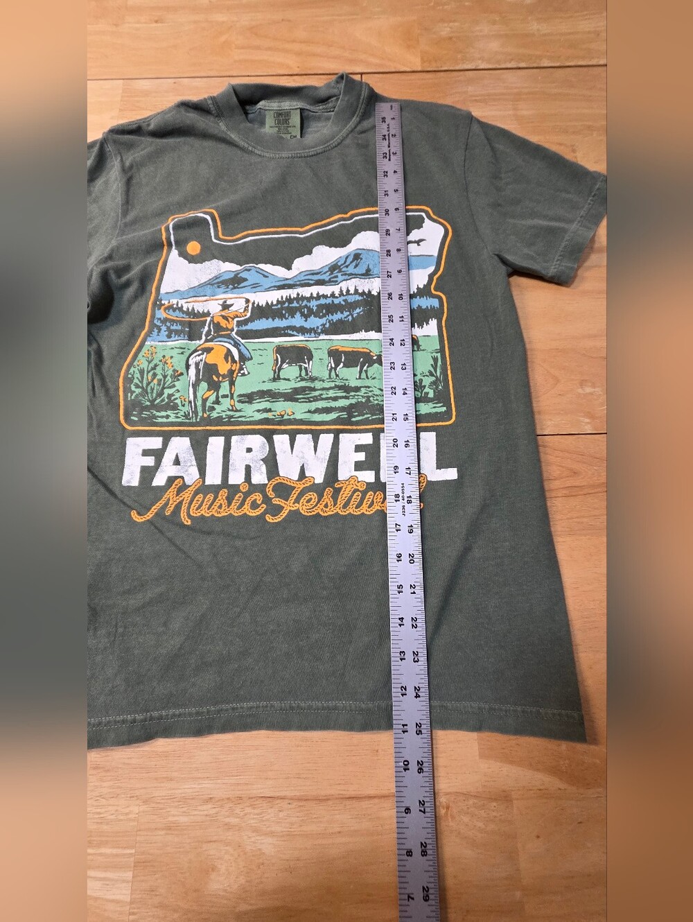 Fairwell Music Festival T-Shirt Small S Comfort Colors 2025 Tour Tyler Childers - Picture 7 of 7